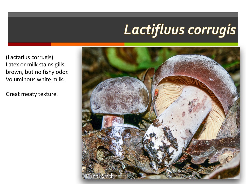 Slide171