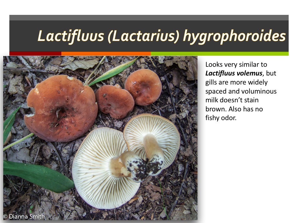 Slide173