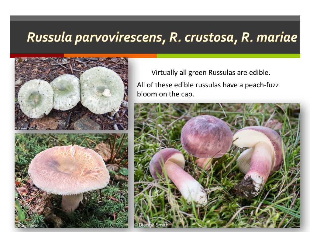 Slide175