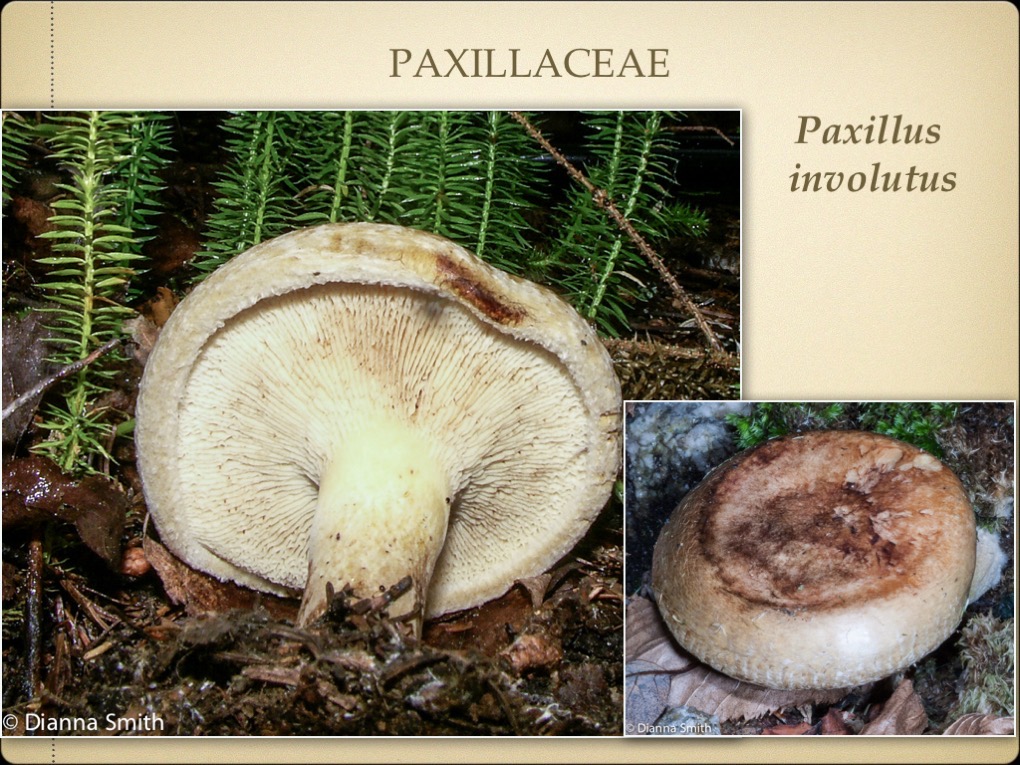 Slide18