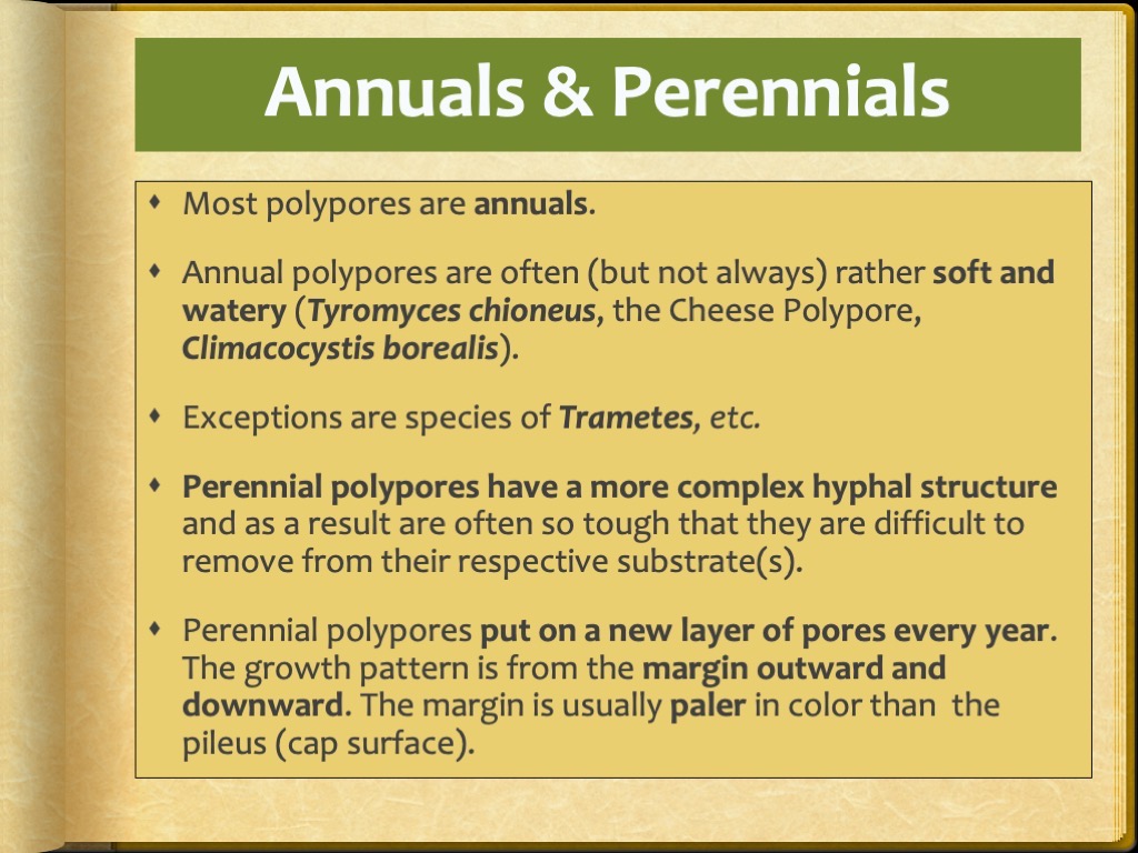 Slide18