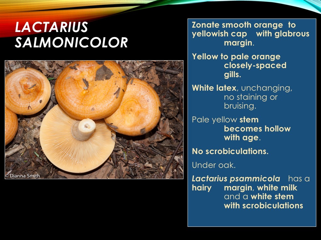 Slide18