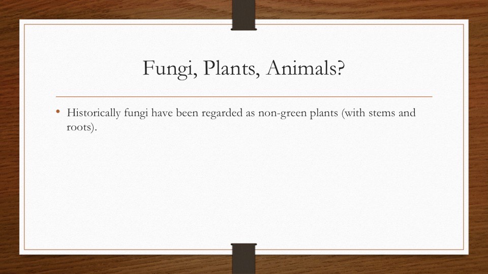 Slide18