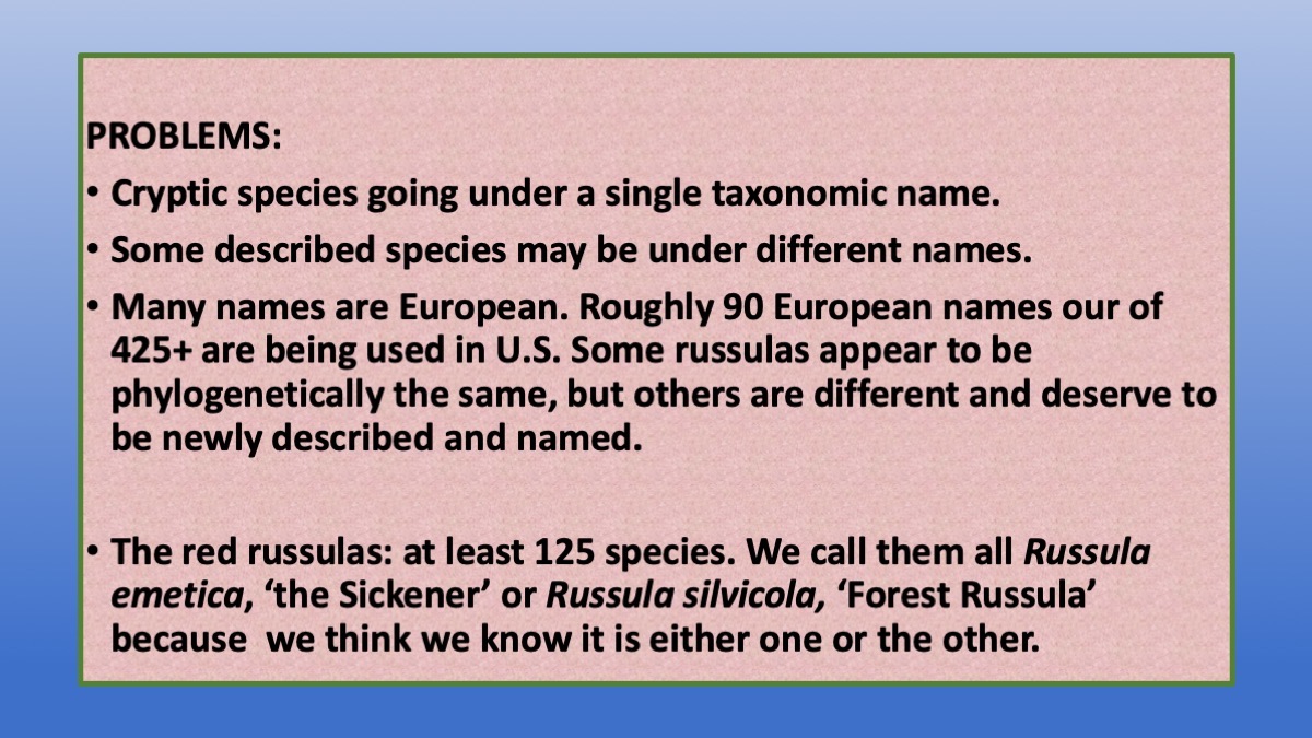 Slide19