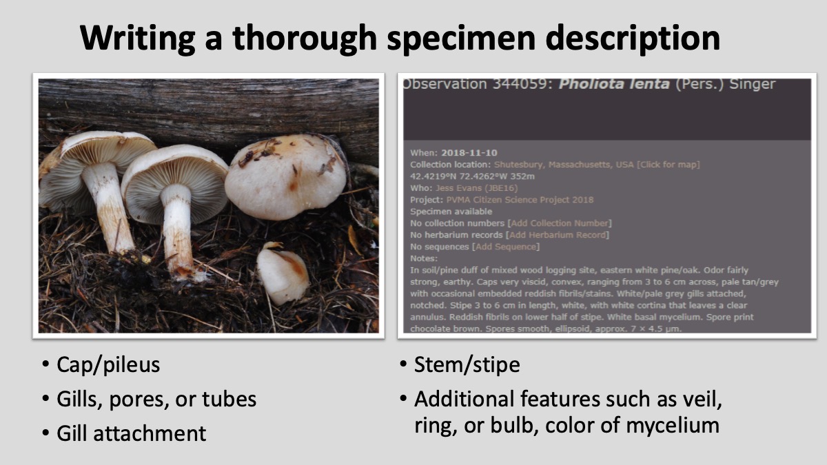 Slide18