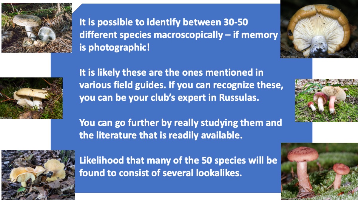 Slide18