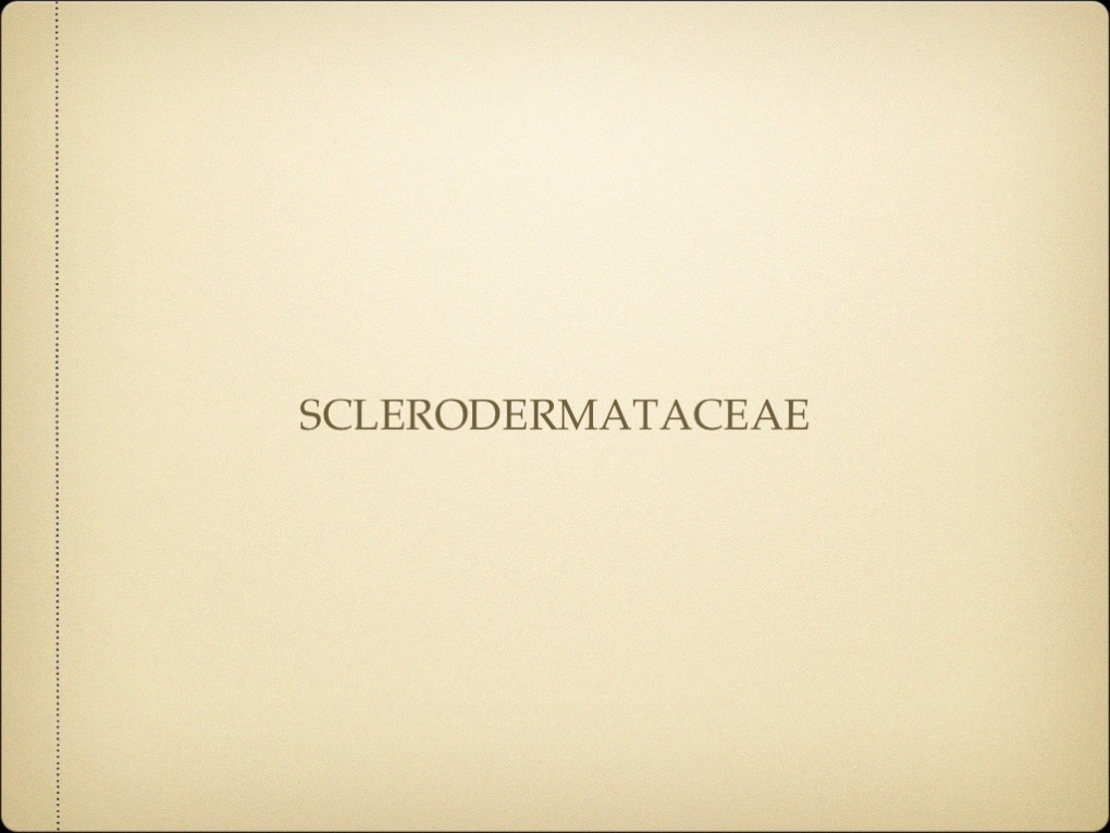 Slide19