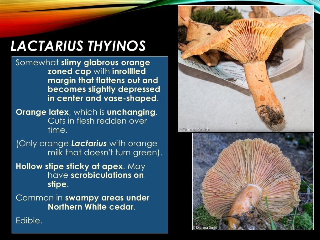 Slide19