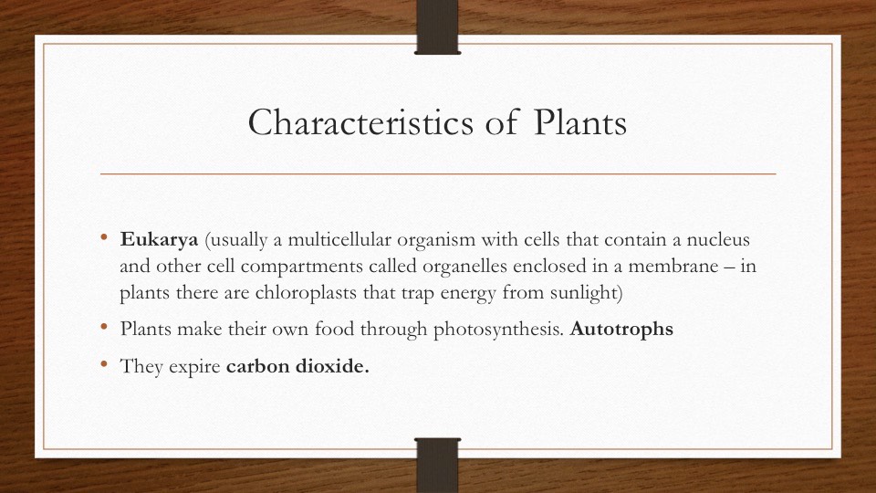 Slide19