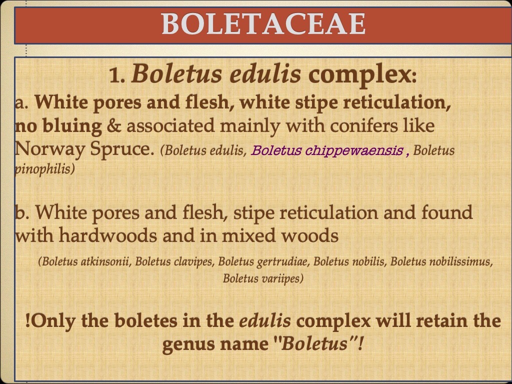 Slide19