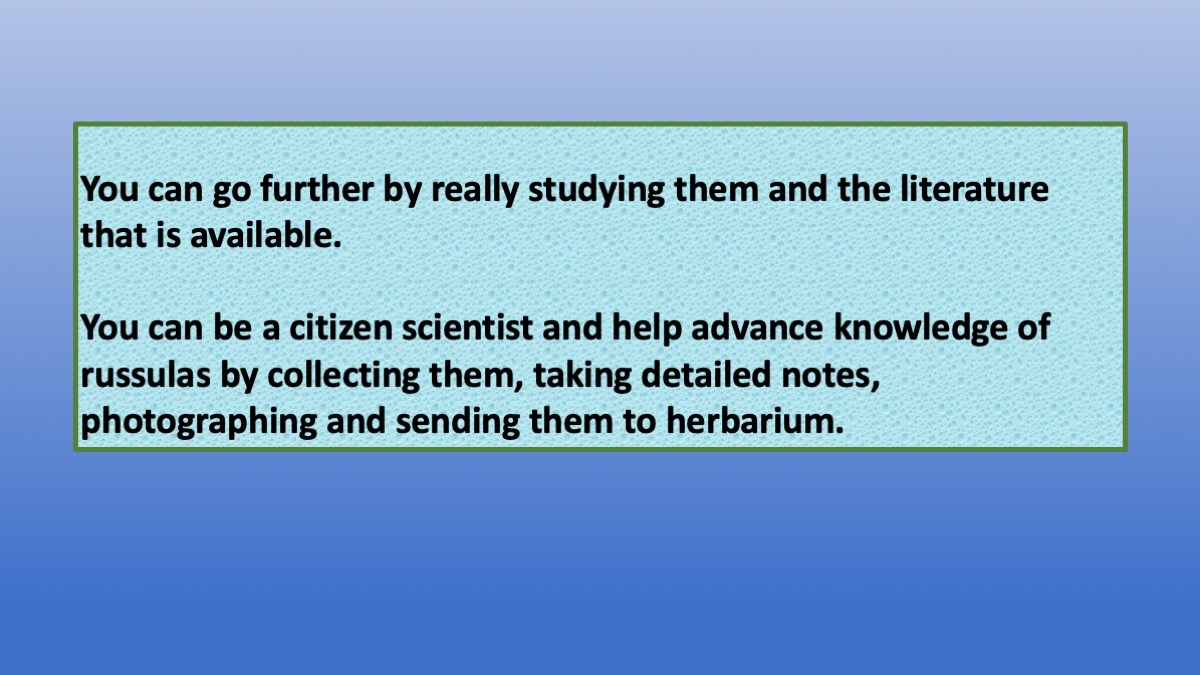 Slide20