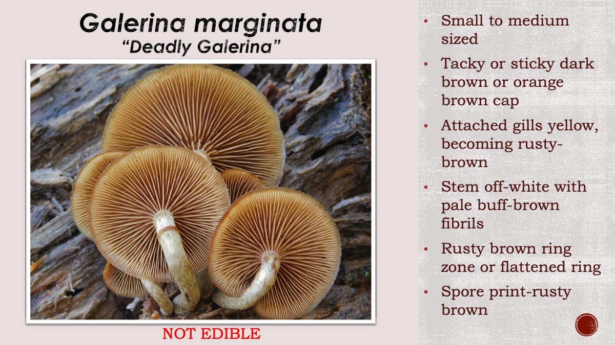 Slide19