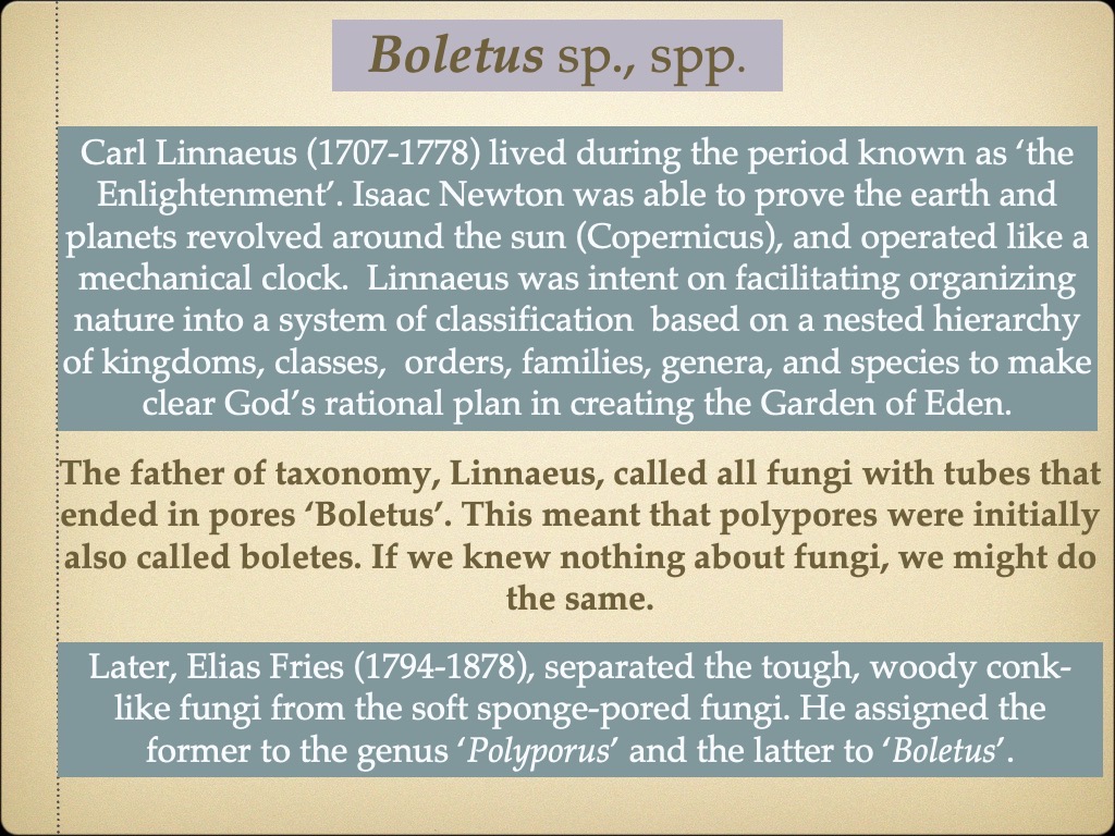 Slide2