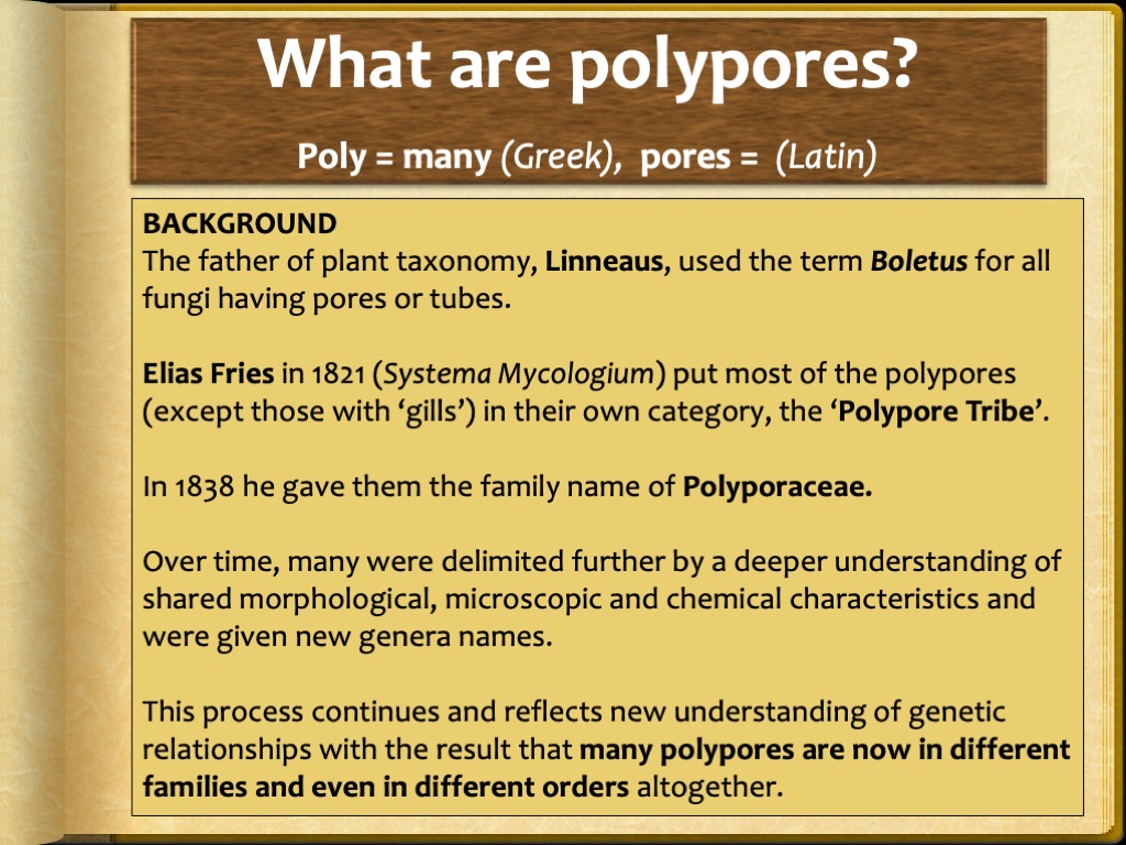 Slide2