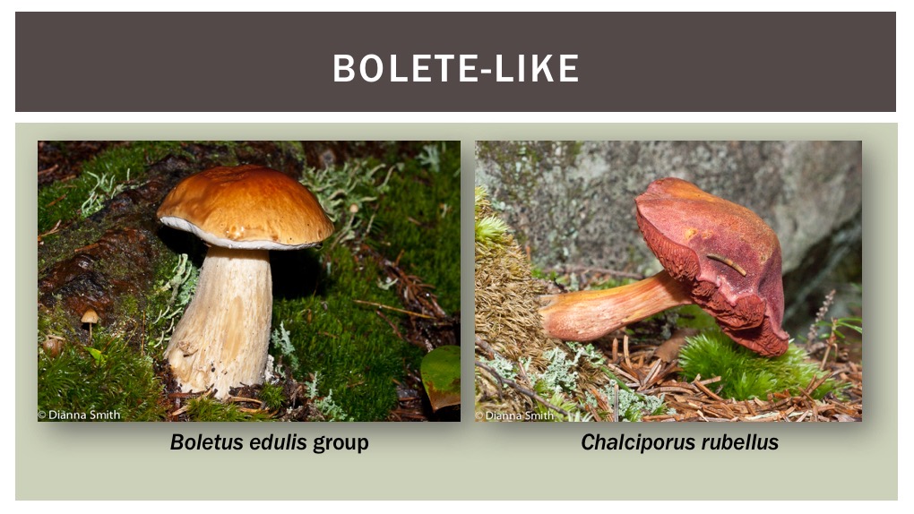 Slide20