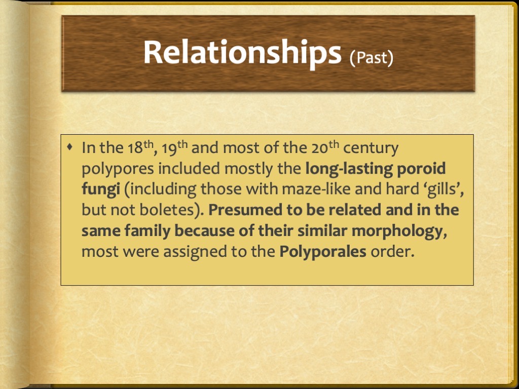 Slide20