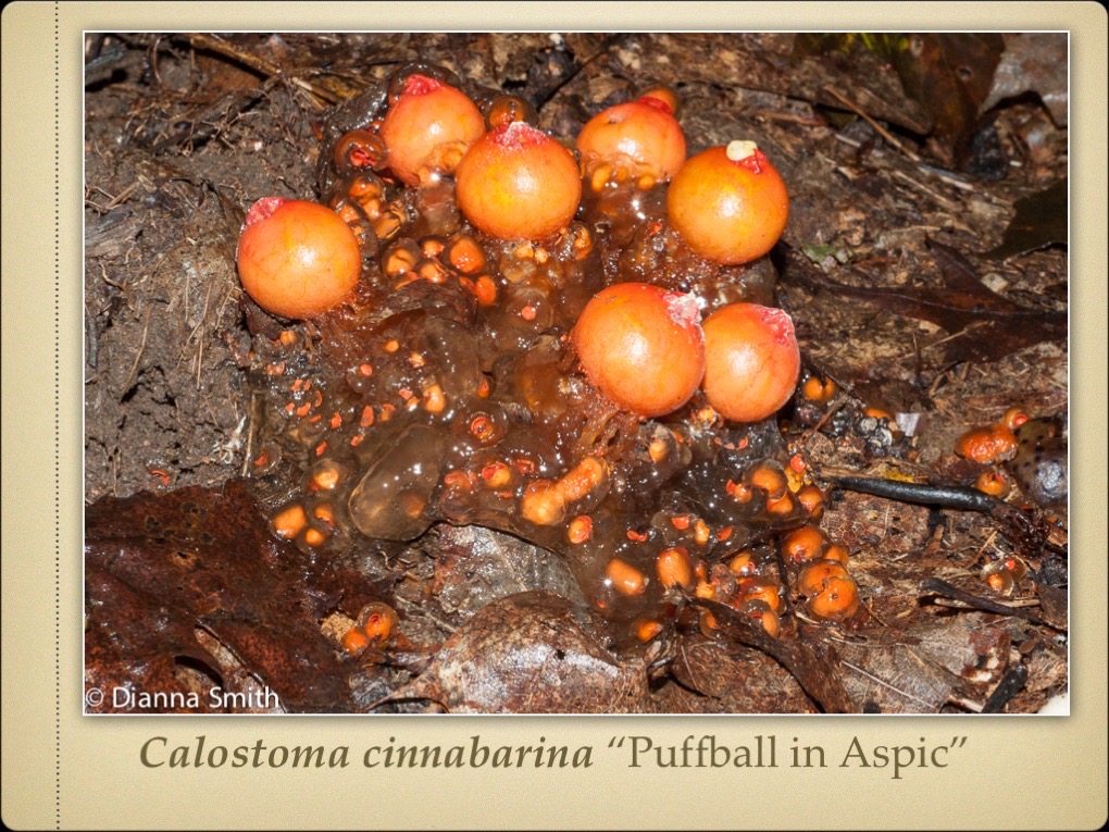 Slide20