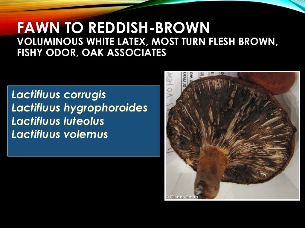 Slide20