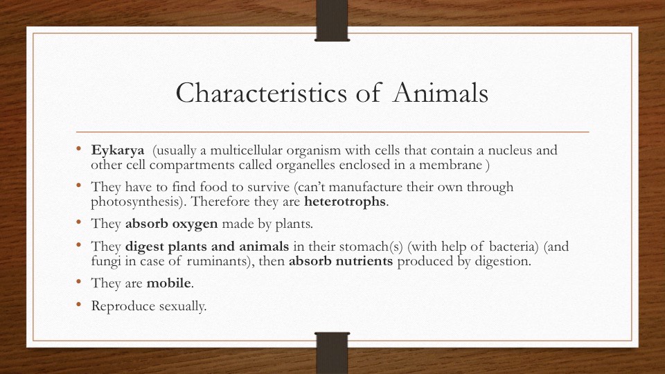 Slide20