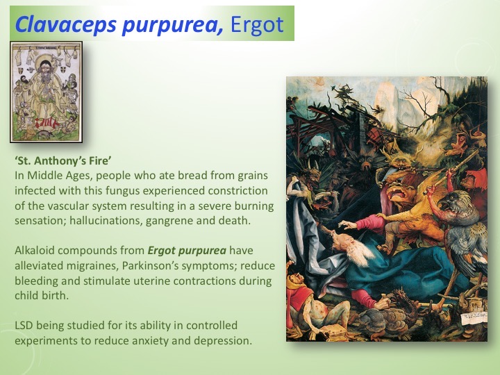 Slide027