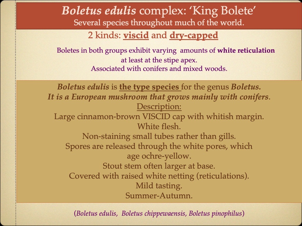 Slide20
