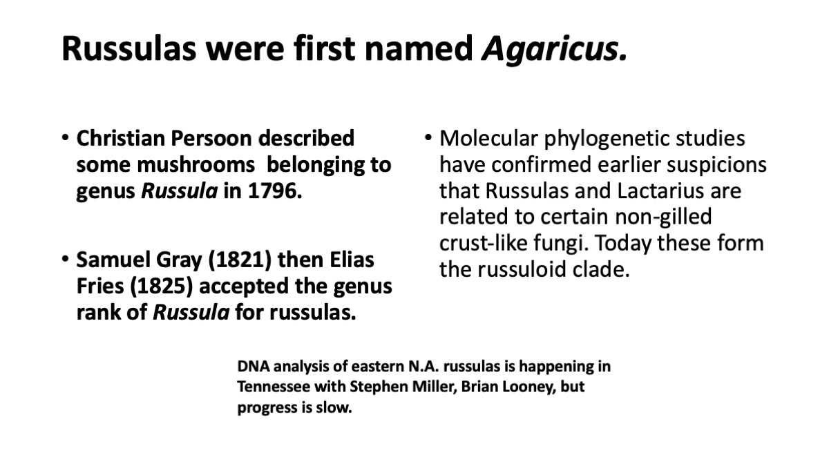 Slide21