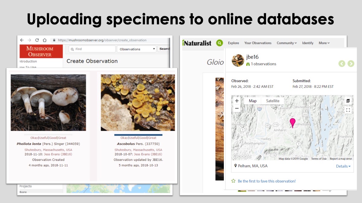 Slide20