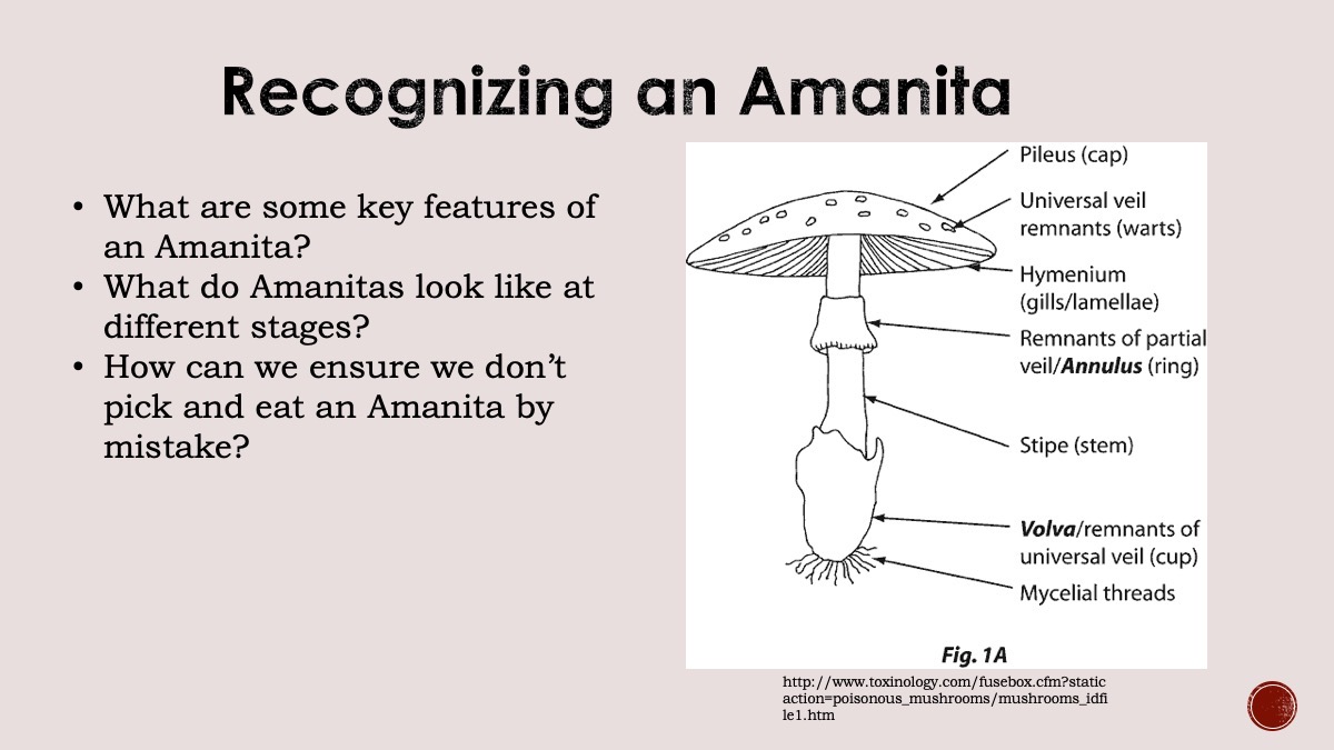 Slide20