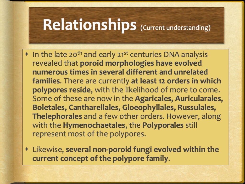Slide21