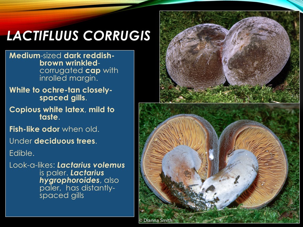 Slide21