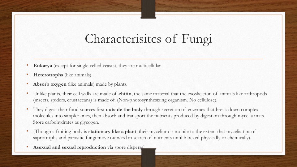 Slide21