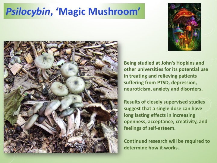 Slide028