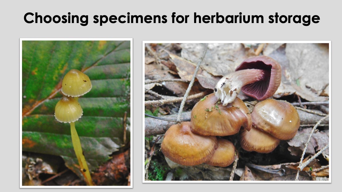 Slide21