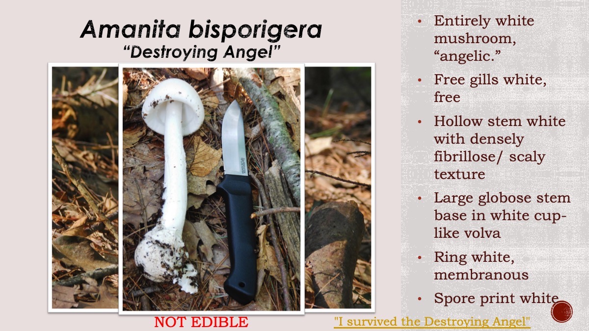 Slide21