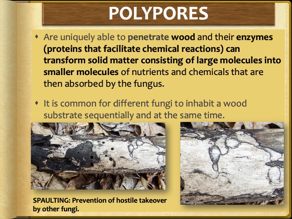 Slide22