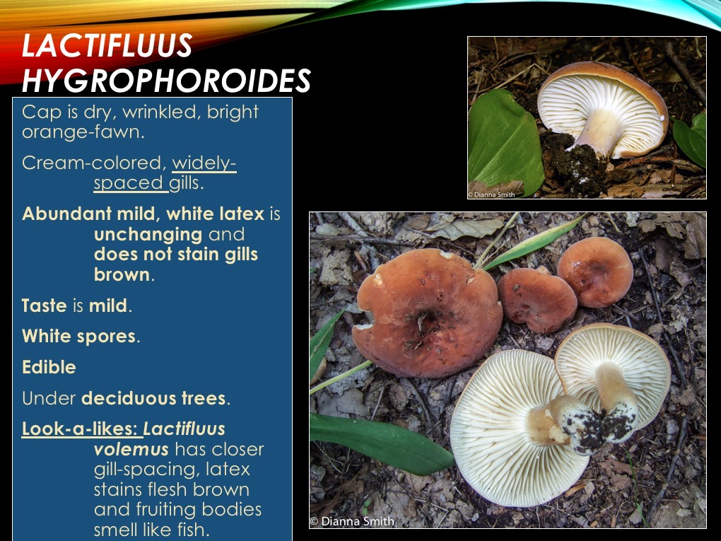 Slide22