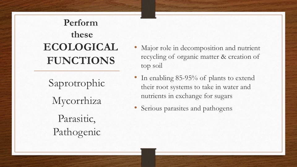 Slide22