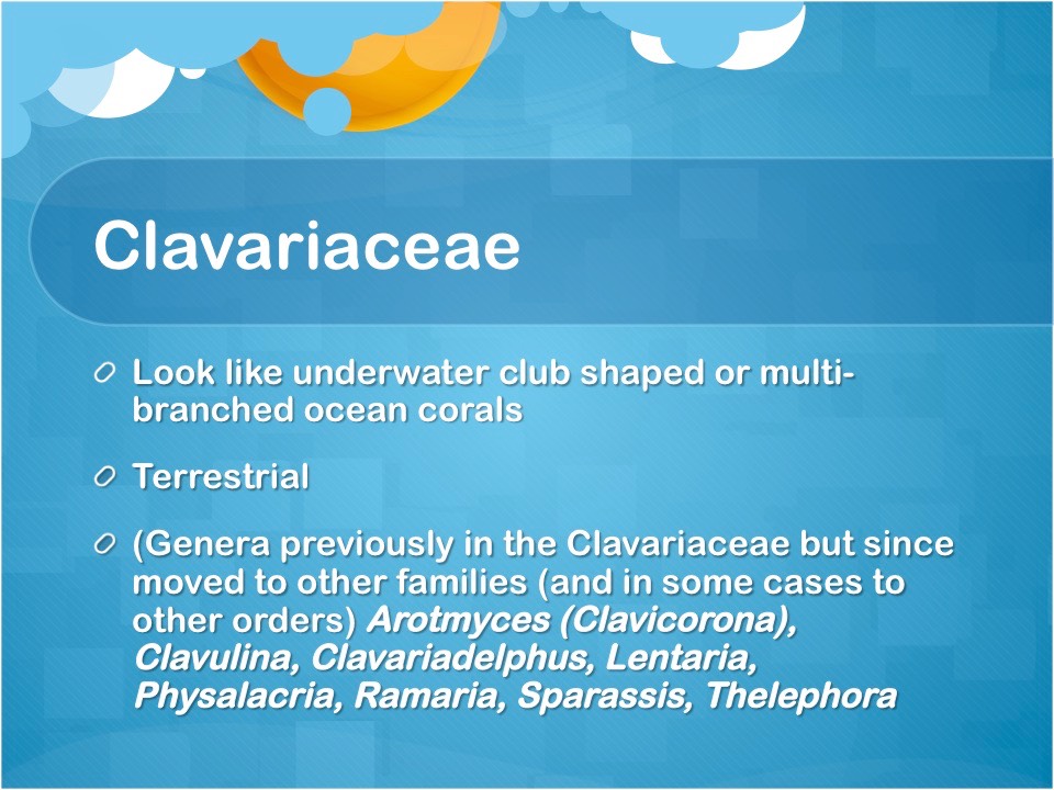 Slide22