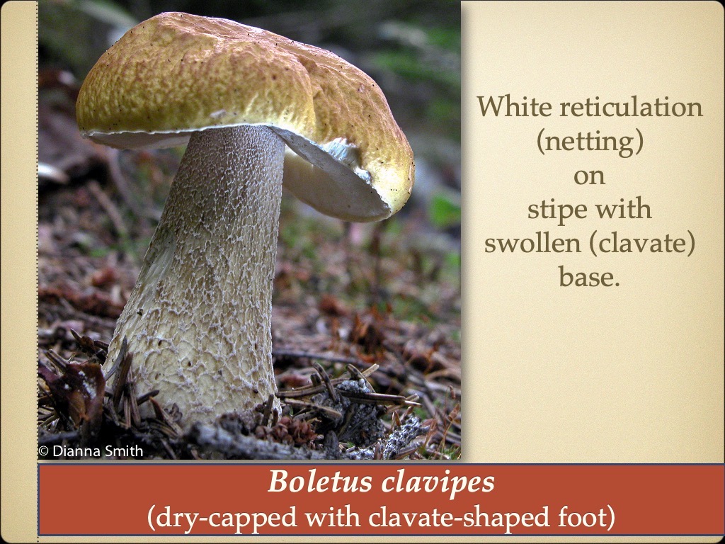 Slide22