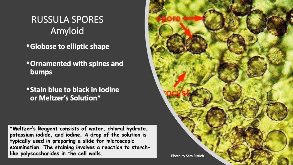 Slide23