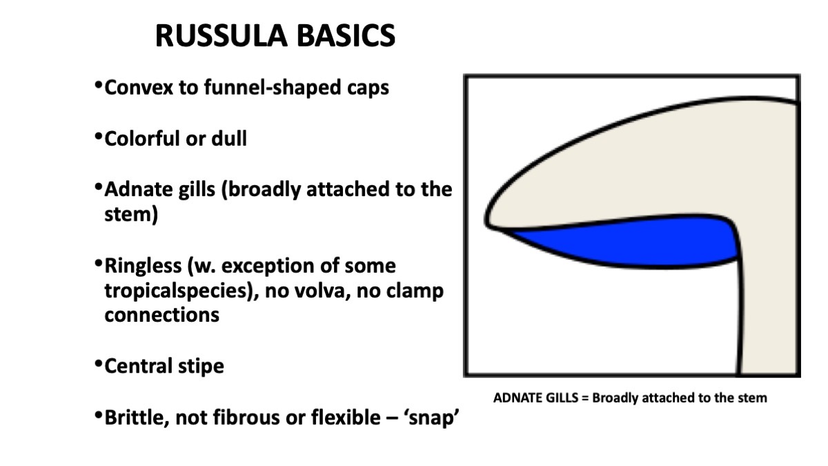 Slide22