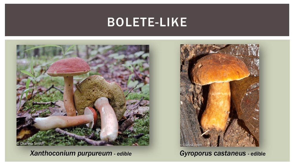 Slide22