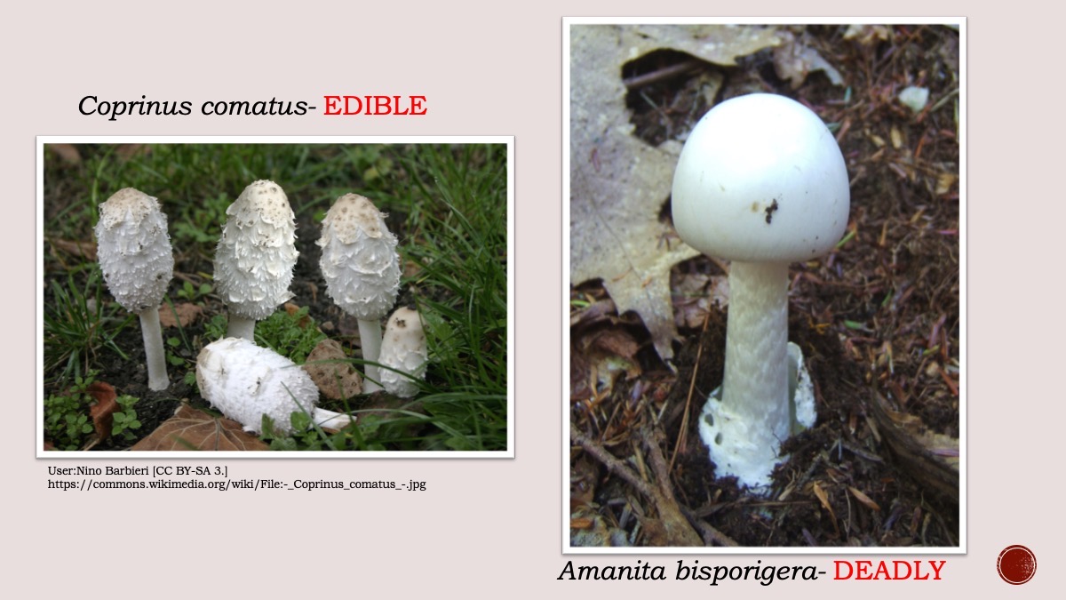 Slide22