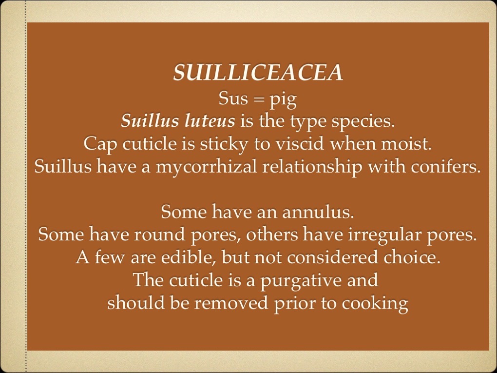 Slide23