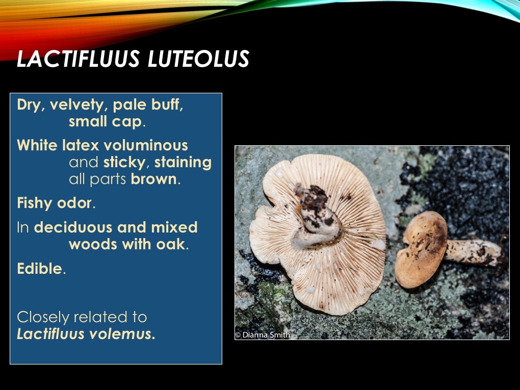Slide23