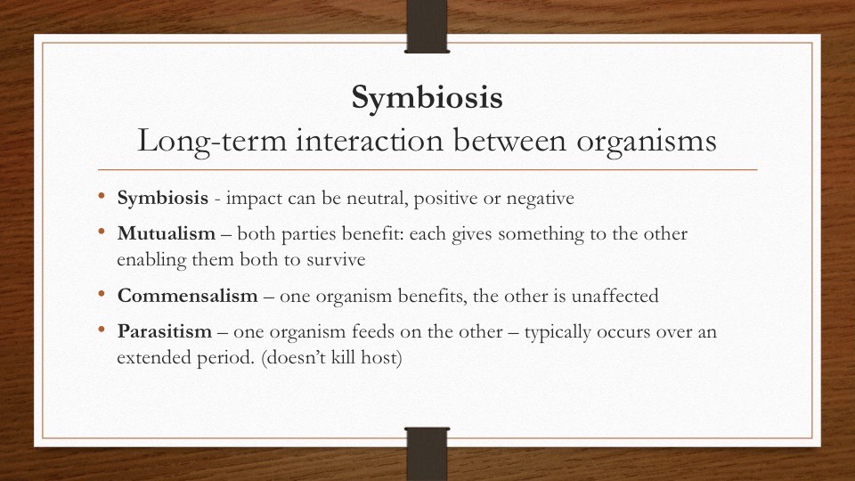 Slide23