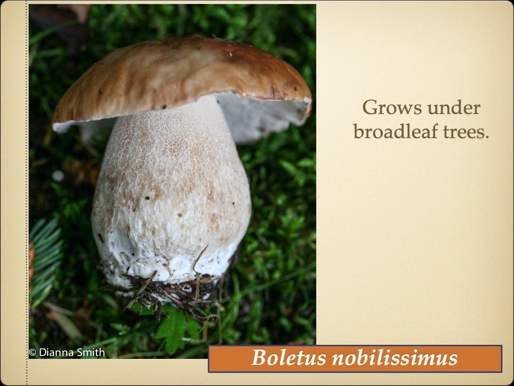 Slide23