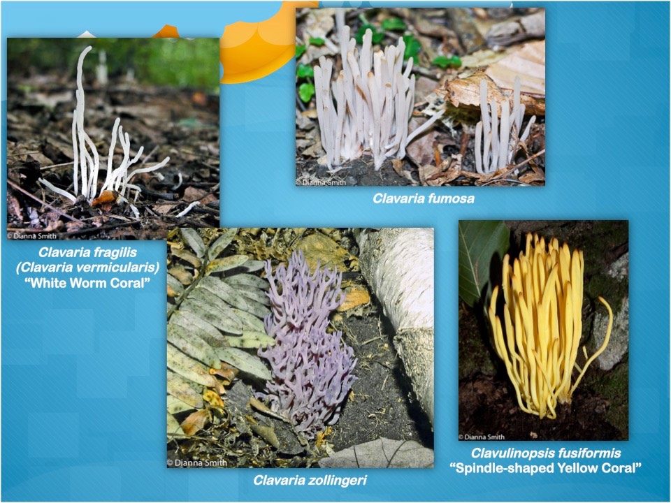 Slide23