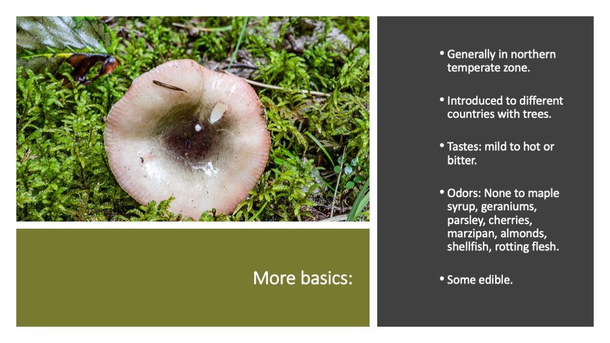 Slide24