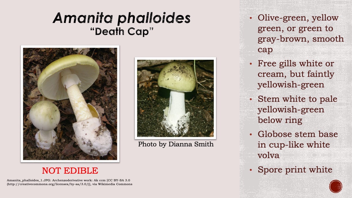 Slide23